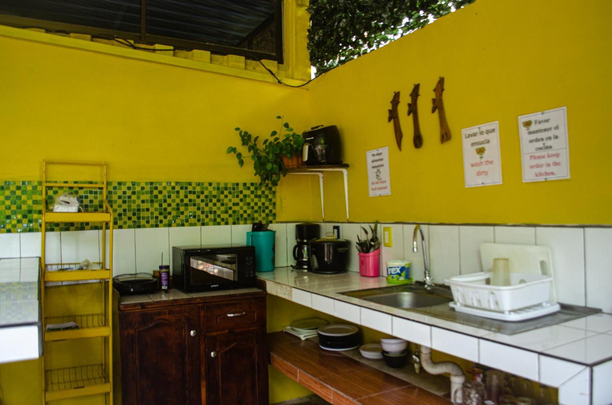 The Jungle Container Bed & Breakfast Quepos Exterior foto
